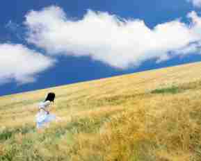 最‌新‌网‍站​收﻿录‍方‌案‌